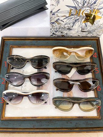 Dior Glasses MeteorB1I 51-21-145