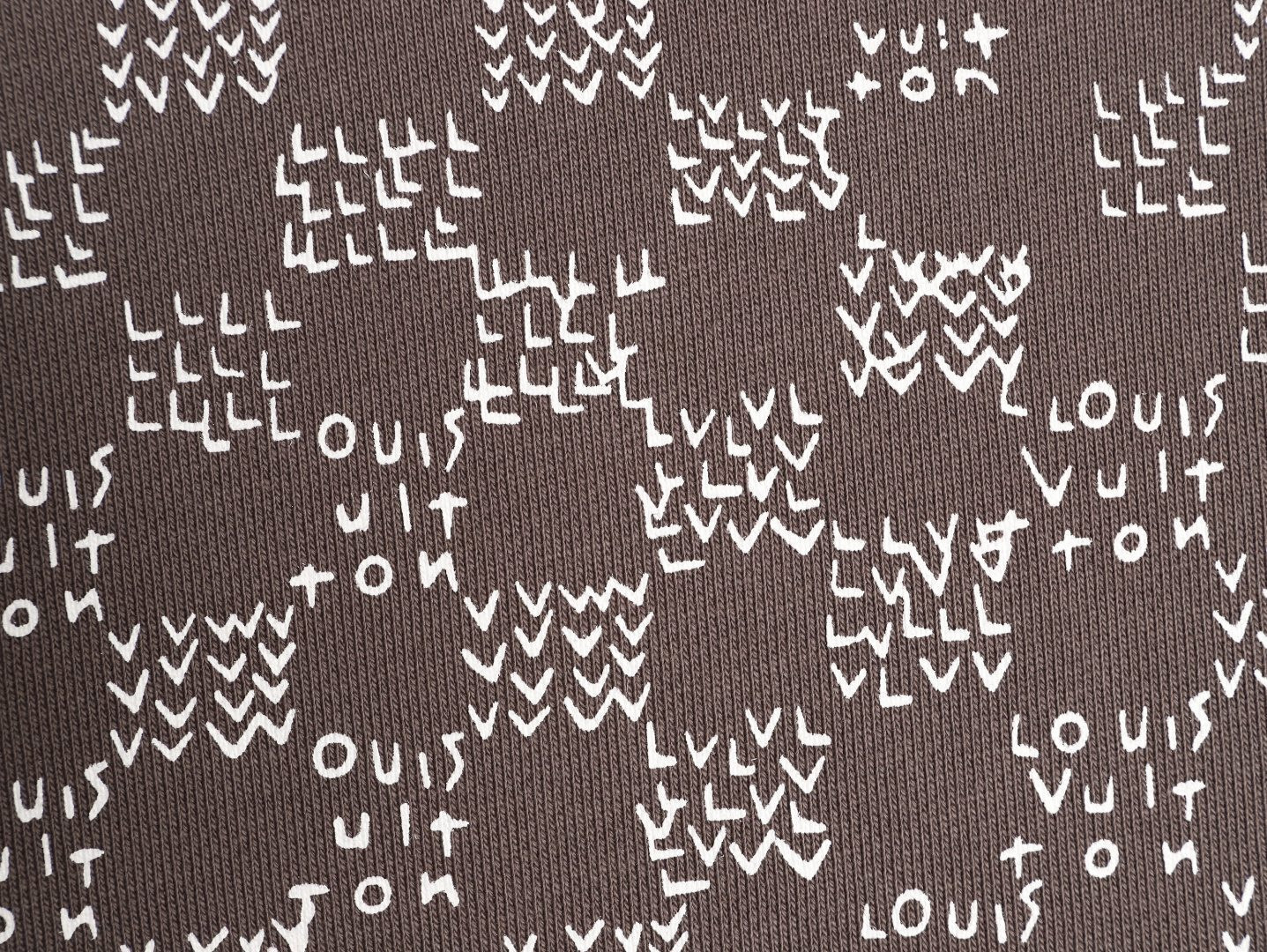 Louis Vuitton 25Fw Hoodies