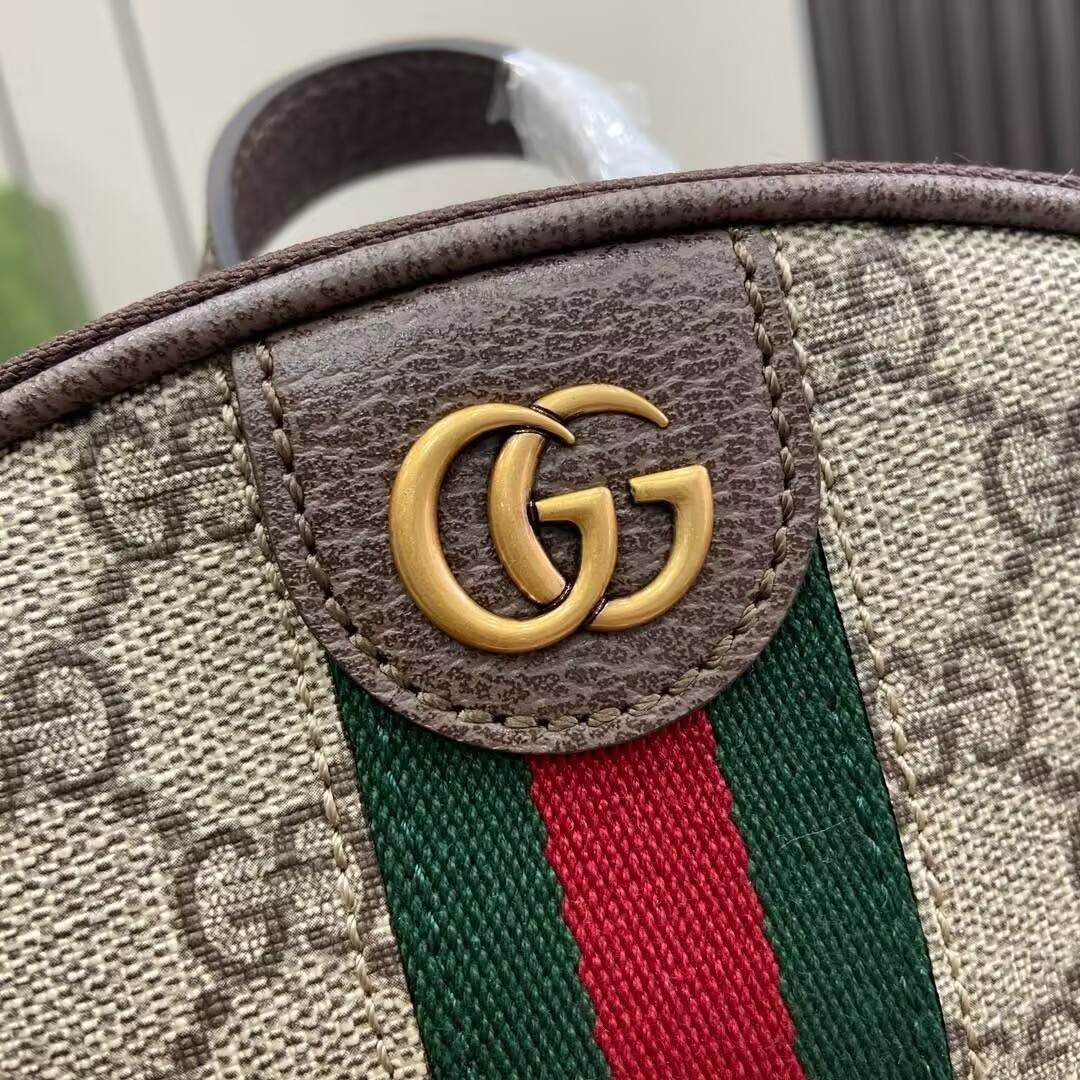 GUCCI OPHIDIA 19x26x4.5cm