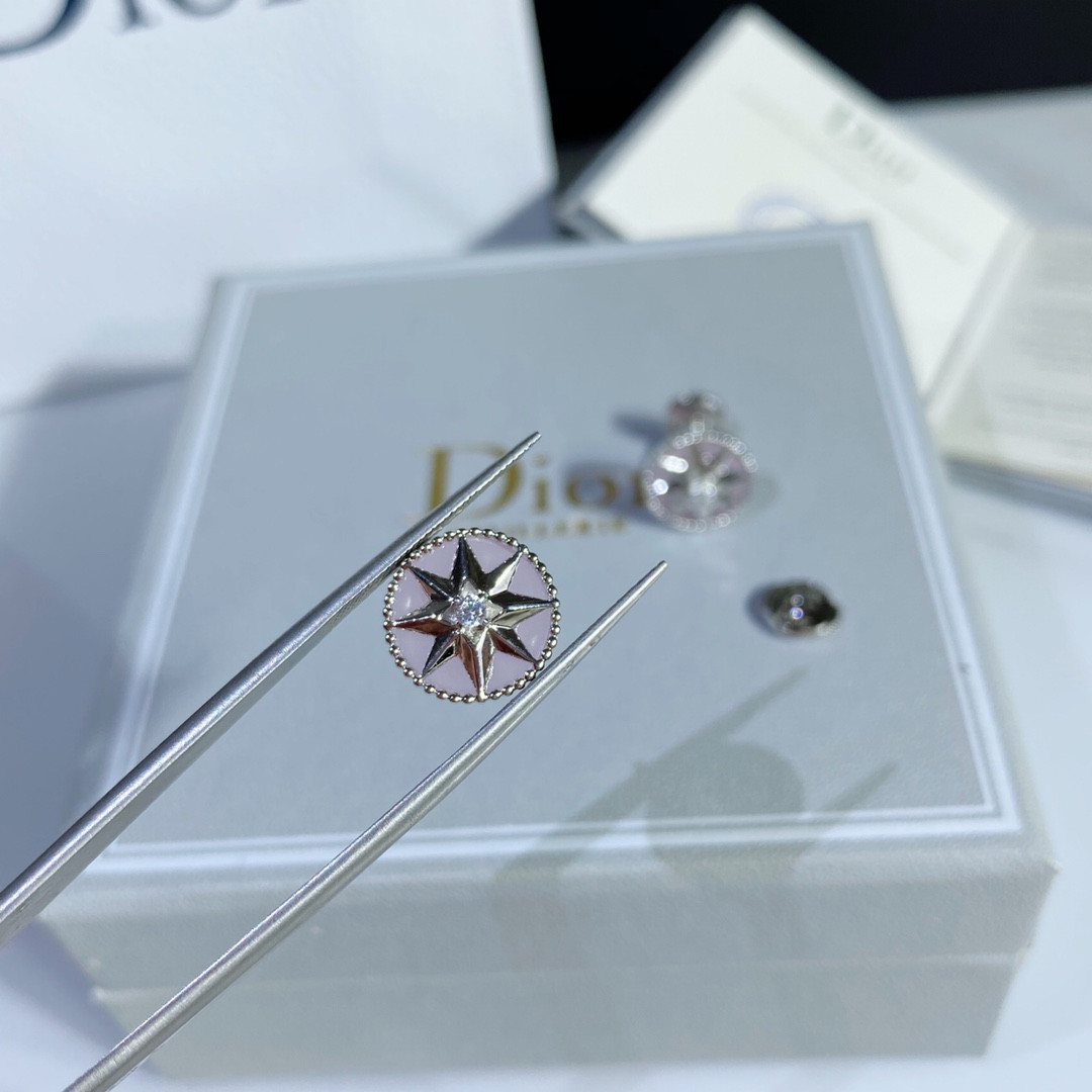 Dior compass Stud Earrings