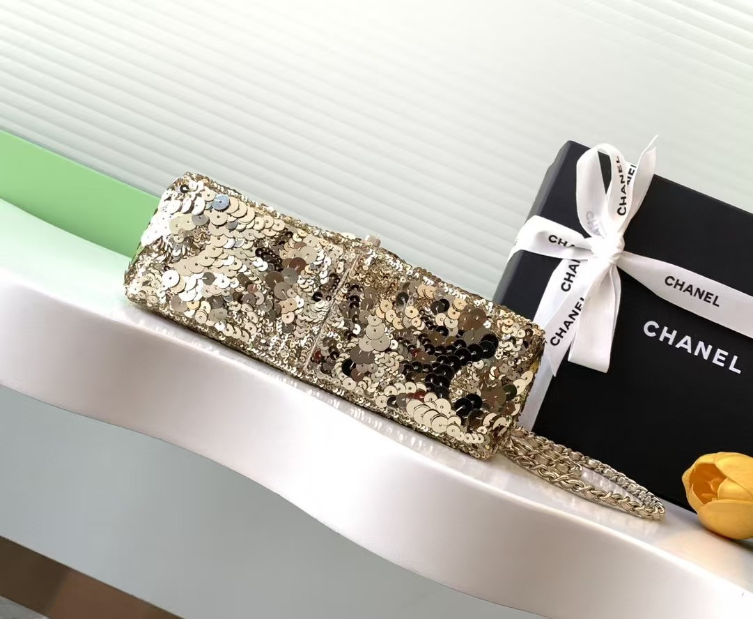 CHANEL CRUISE 25C FLAP BAG 14x21x8cm