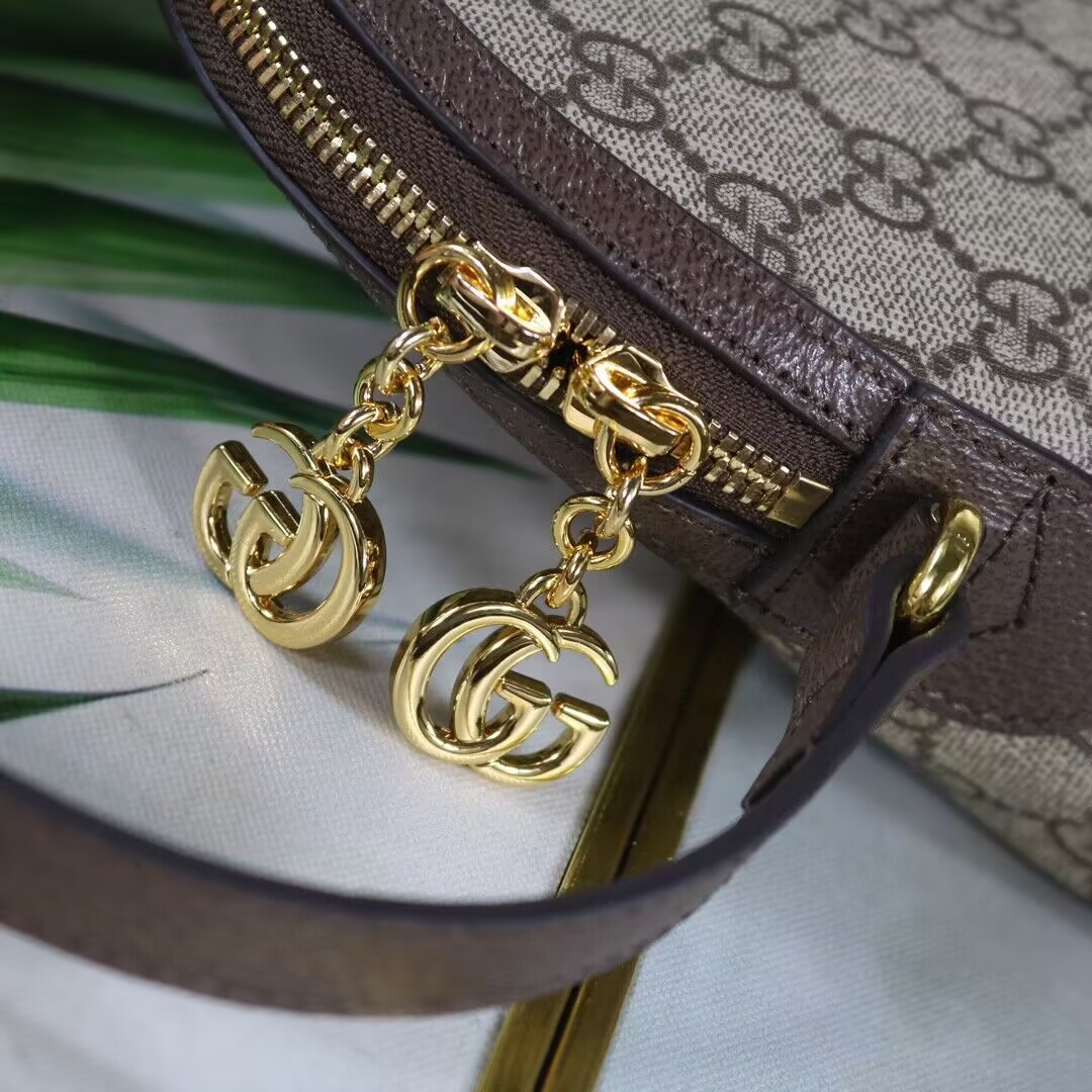 Gucci GG Ophidia bag