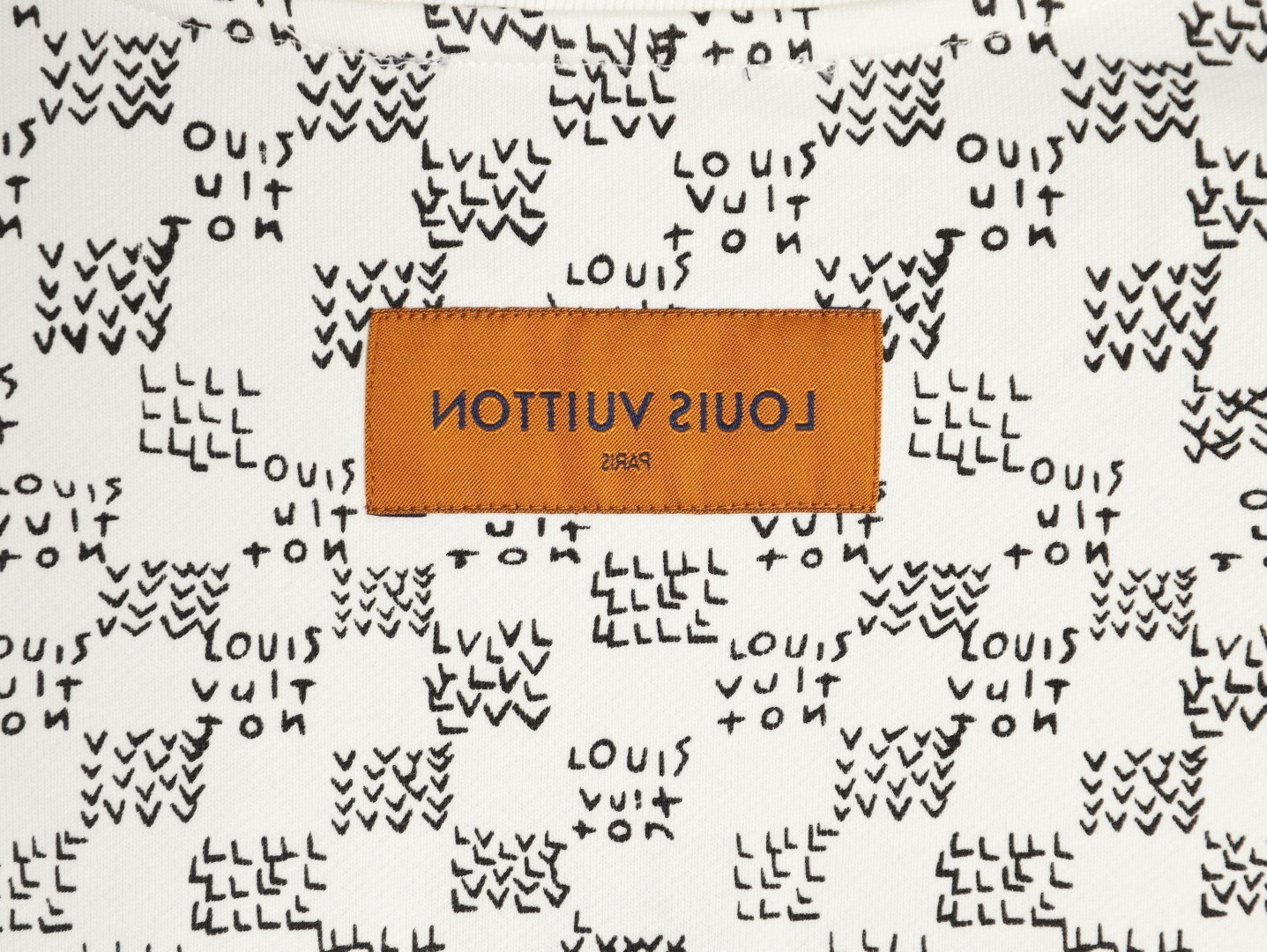 Louis Vuitton 25Fw Hoodies