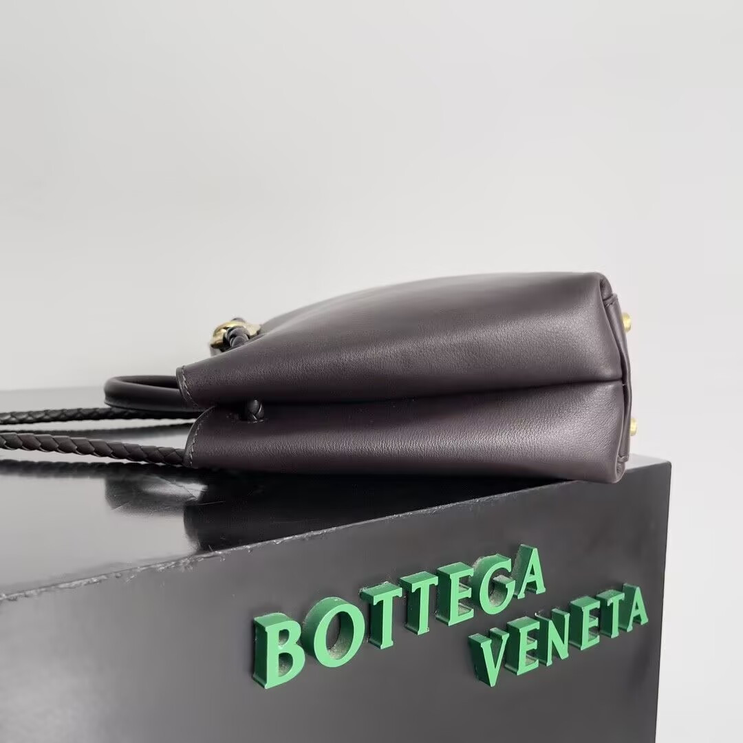 Bottega Veneta Small Andiamo 25x22x10.5cm