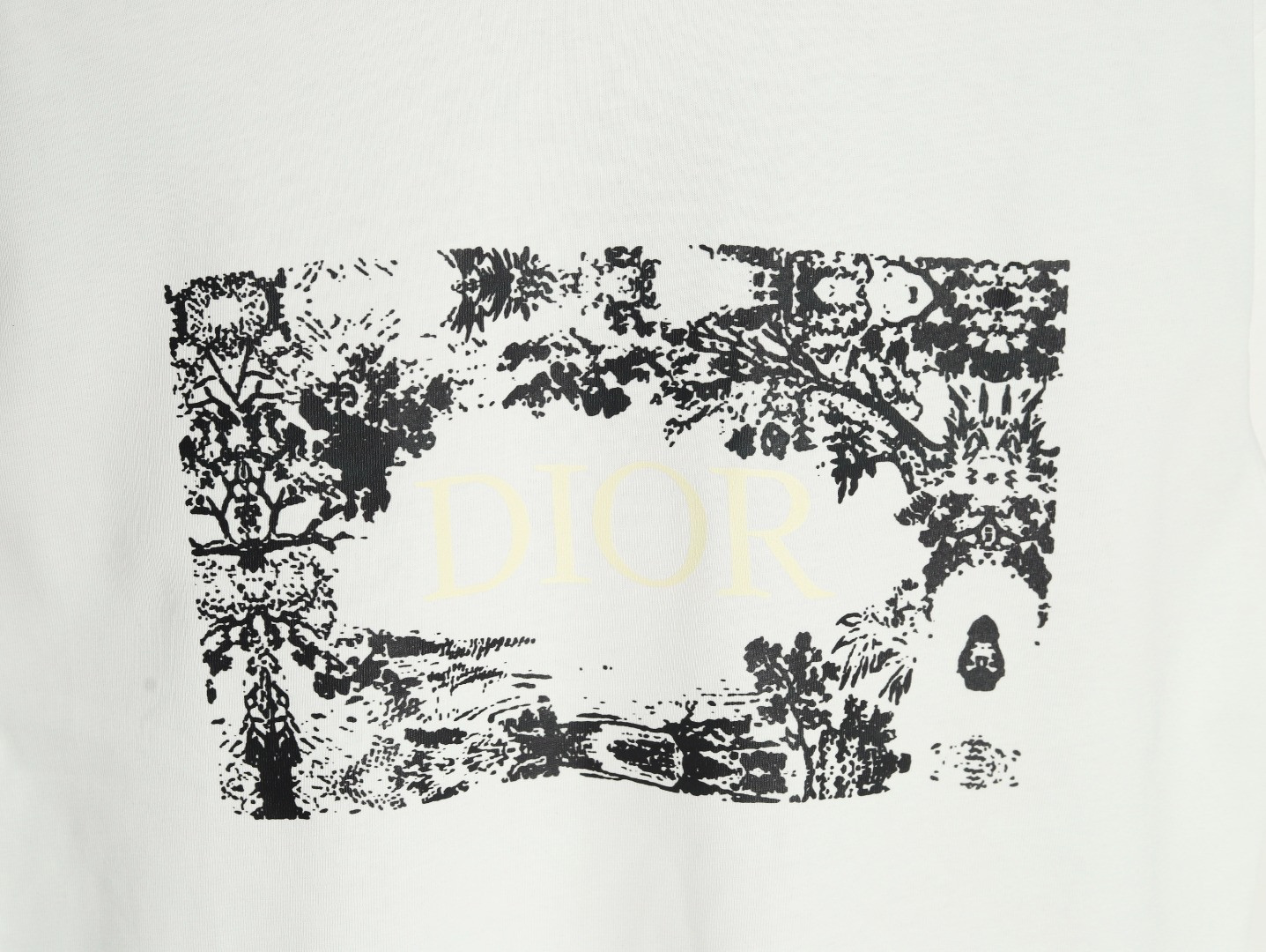 Dior 25SS Short-sleeved T-shirt