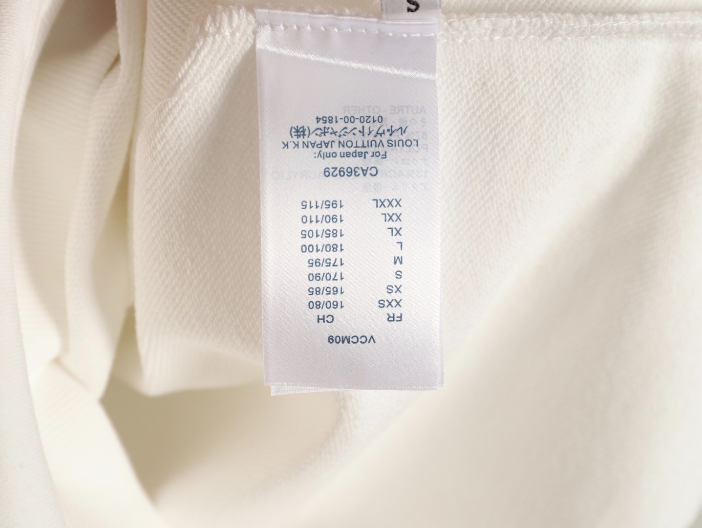 Louis Vuitton LV 25FW Hoodies