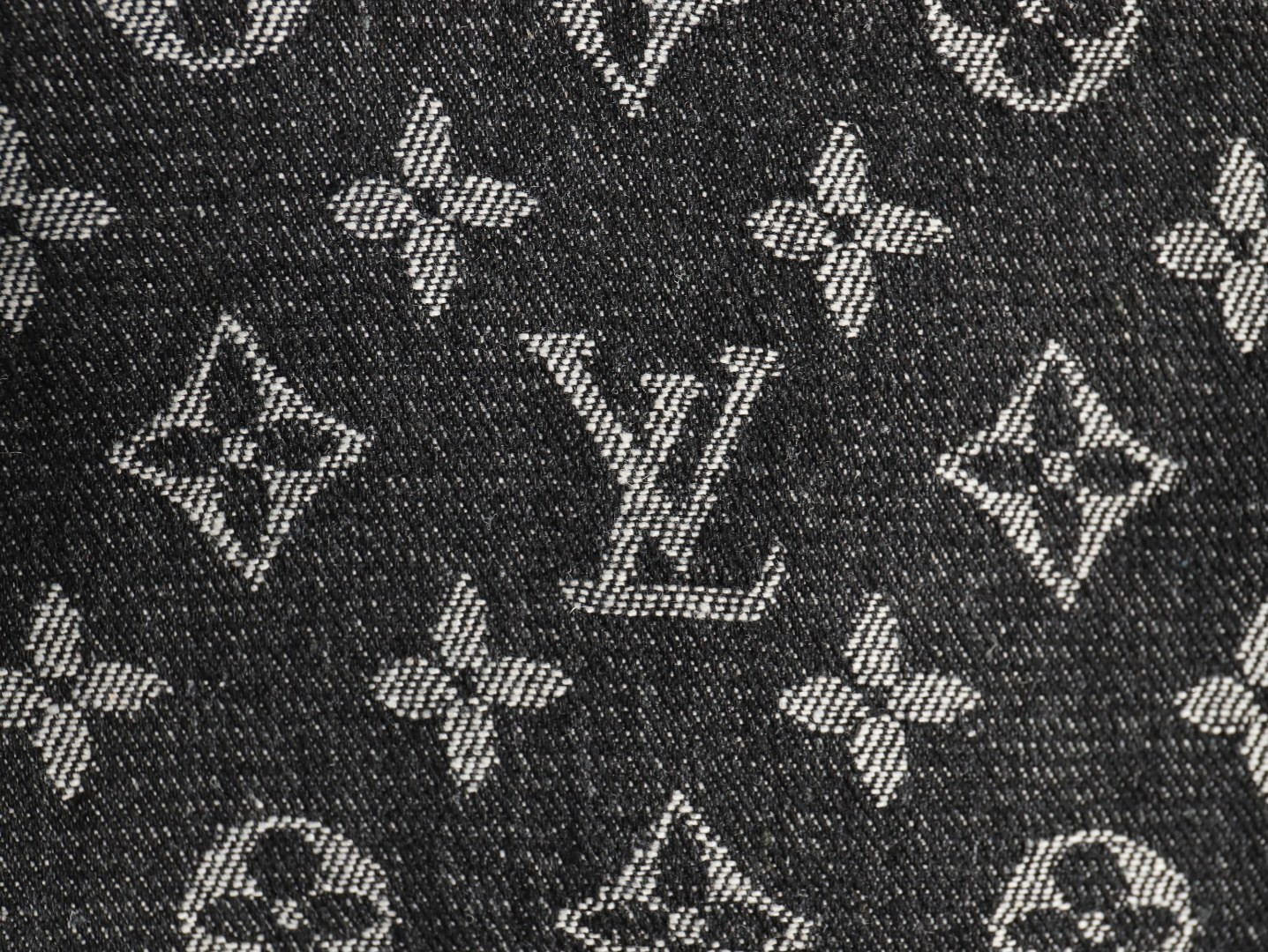 Louis Vuitton Hoodies