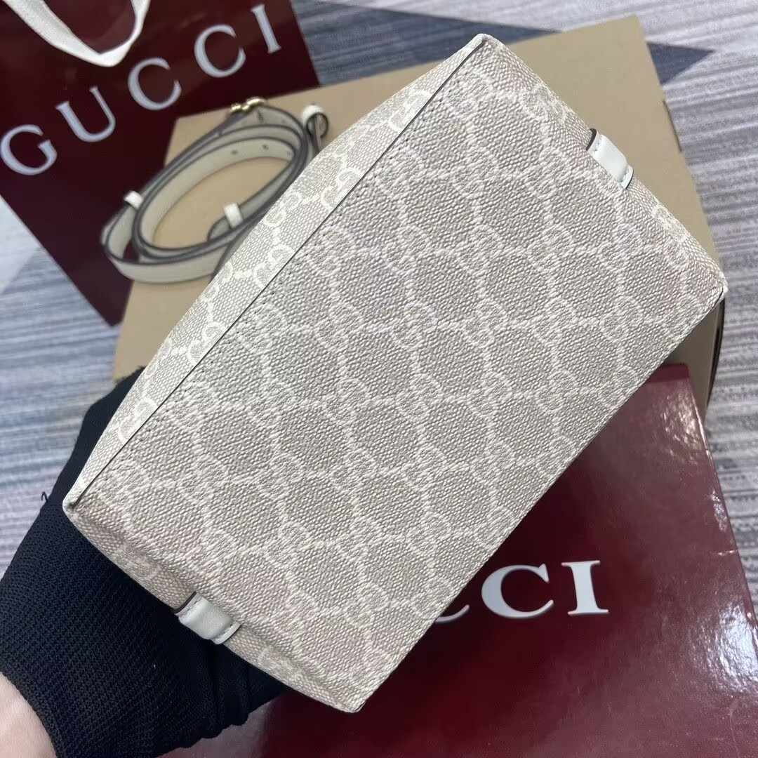 Gucci Mini Emblem 19x18x11cm