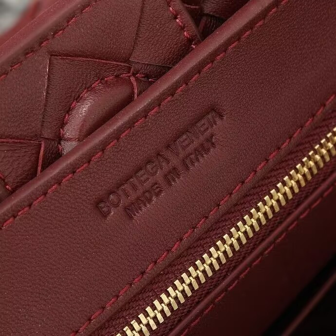 Bottega Veneta Small Andiamo 25x22x10.5cm