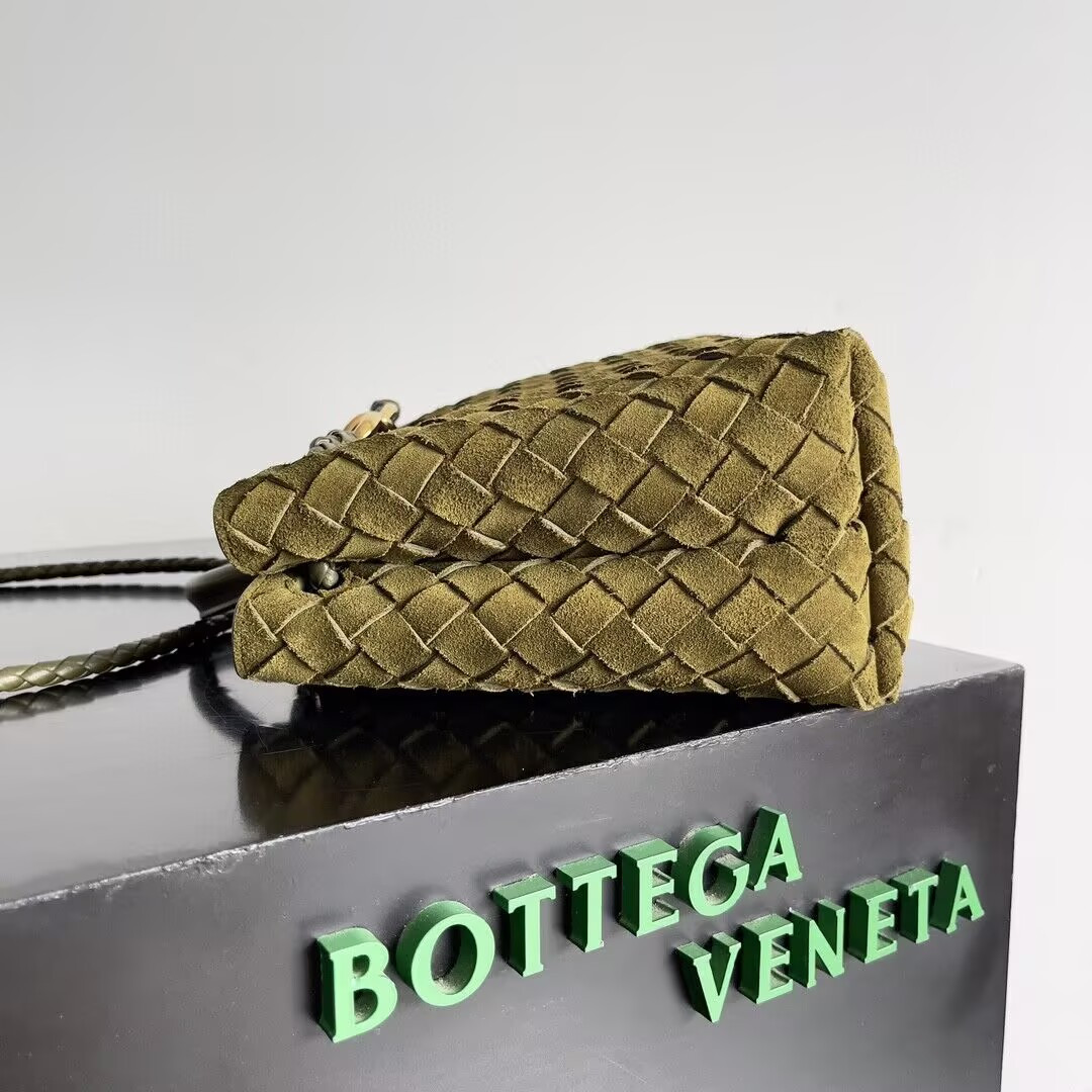 Bottega Veneta Small Andiamo 25x22x10.5cm
