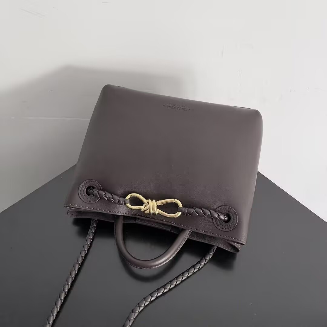 Bottega Veneta Small Andiamo 25x22x10.5cm