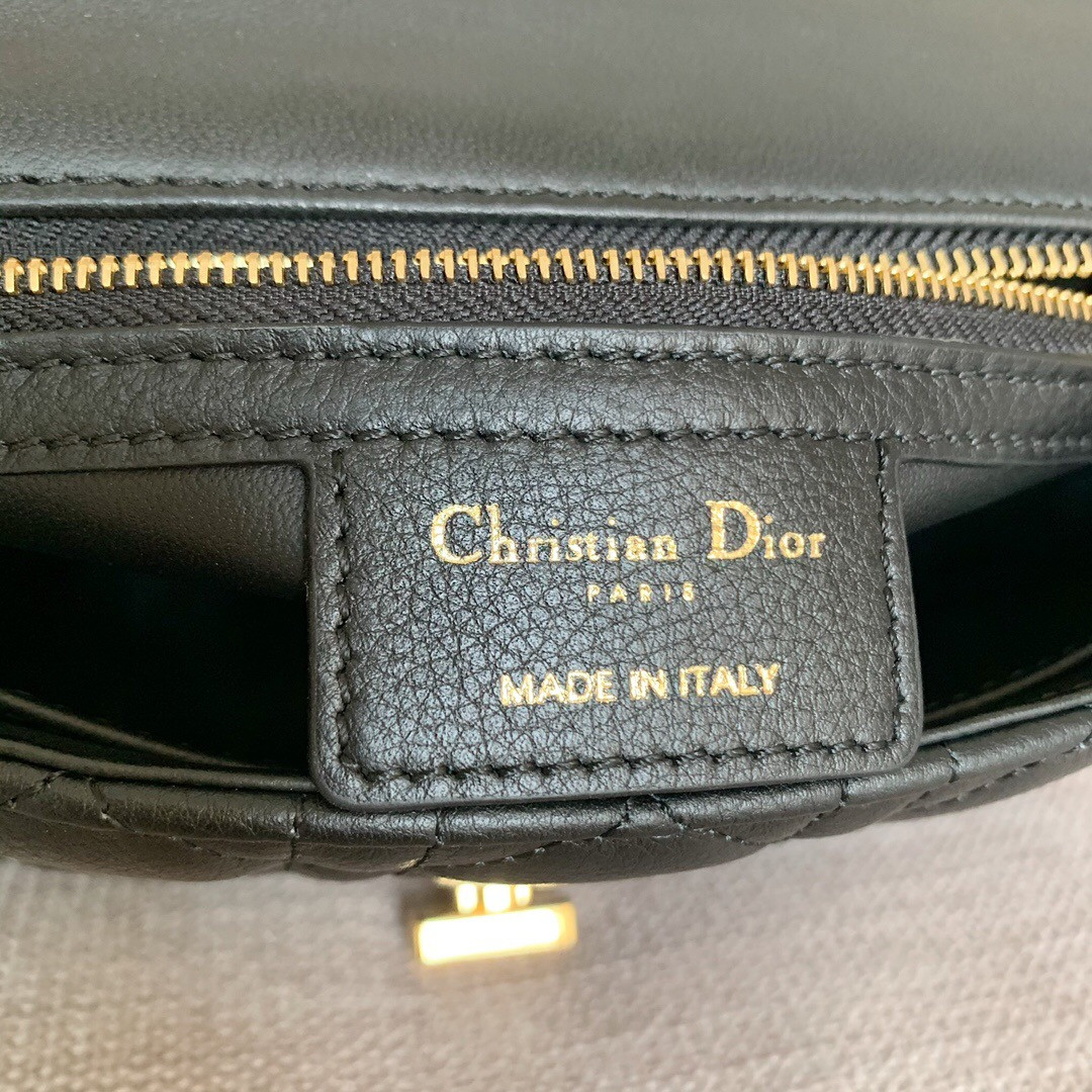 Small DIOR CARO BAG
