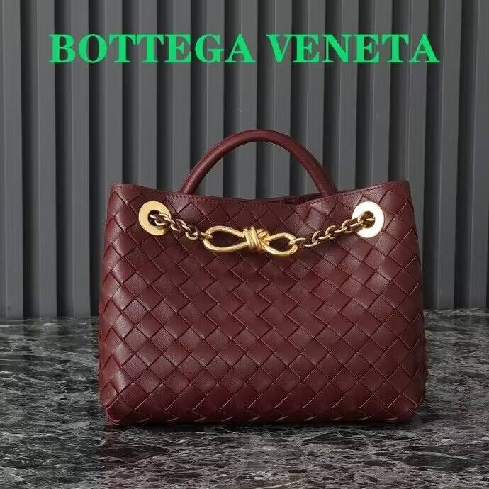 Bottega Veneta Small Andiamo 25x22x10.5cm