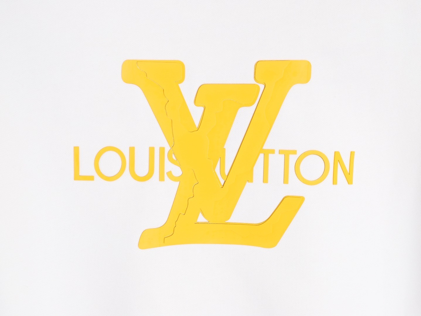 Louis Vuitton LV 25Fw Hoodies