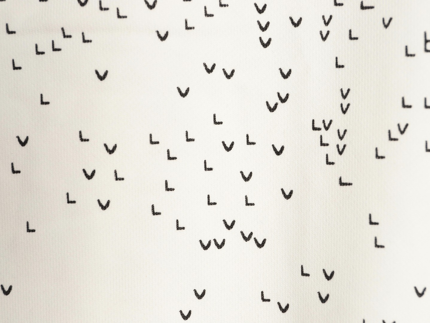 Louis Vuitton 25Fw Hoodies