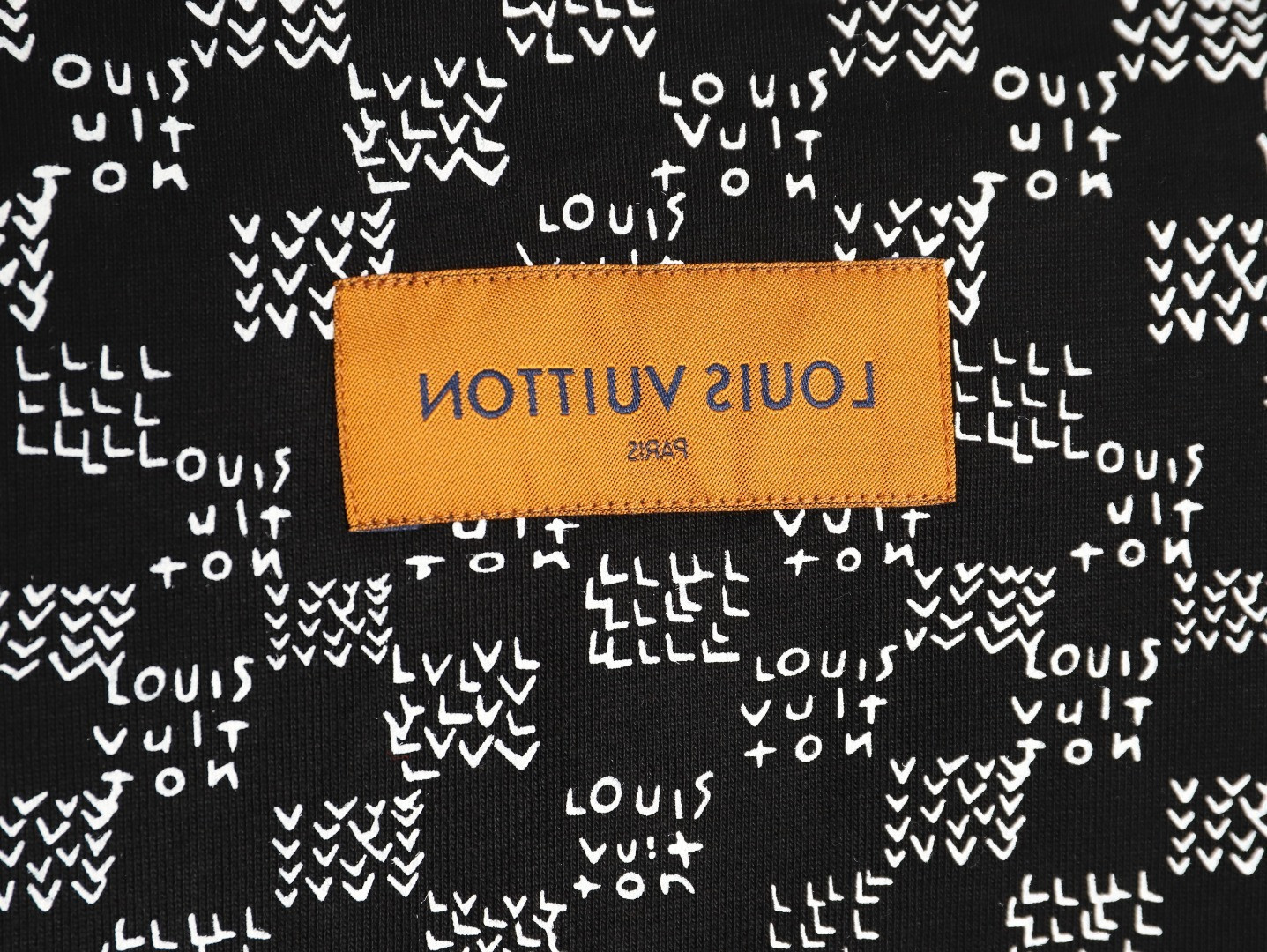 Louis Vuitton 25Fw Hoodies