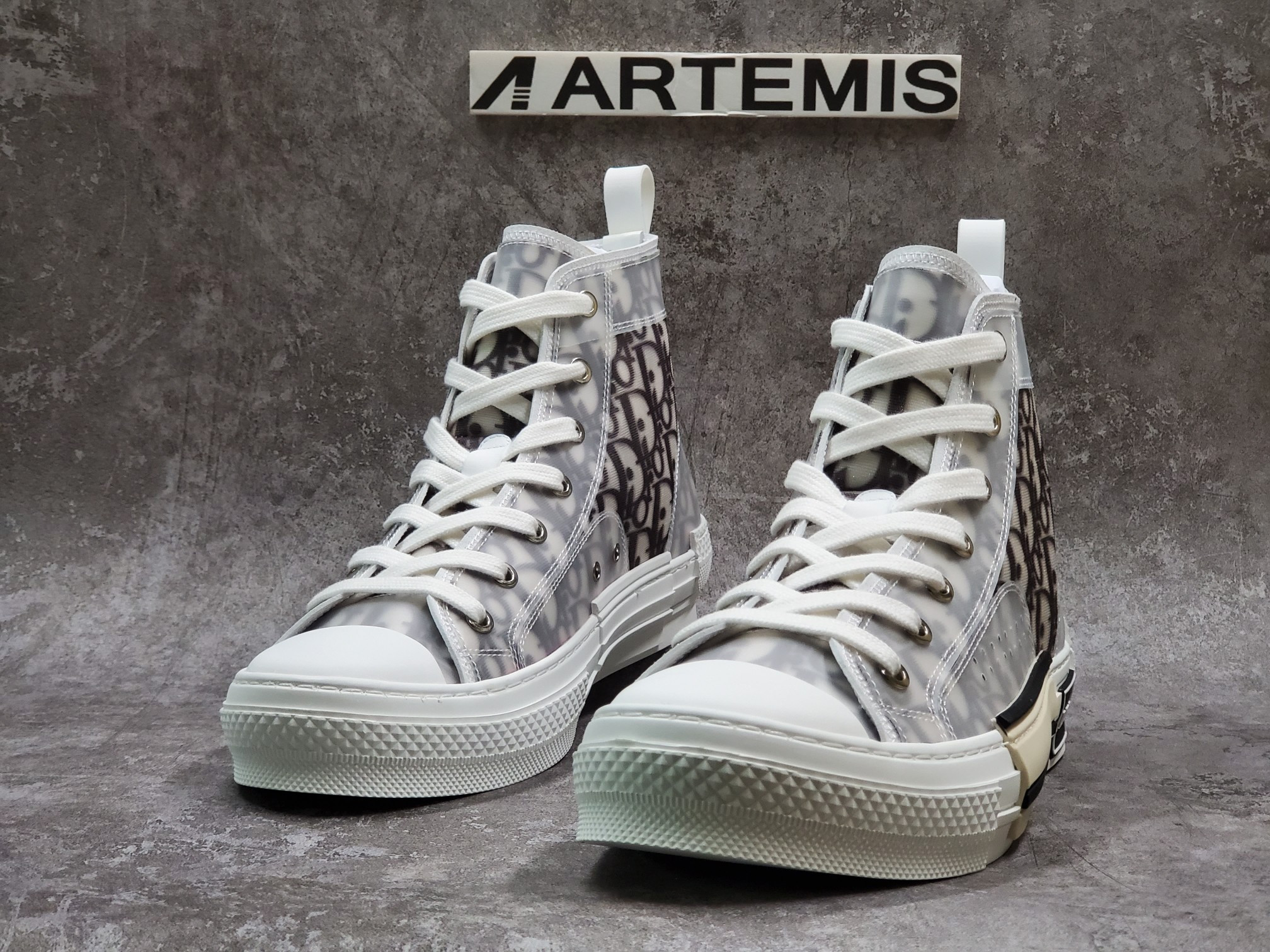 Dior B23 High Top Logo Oblique