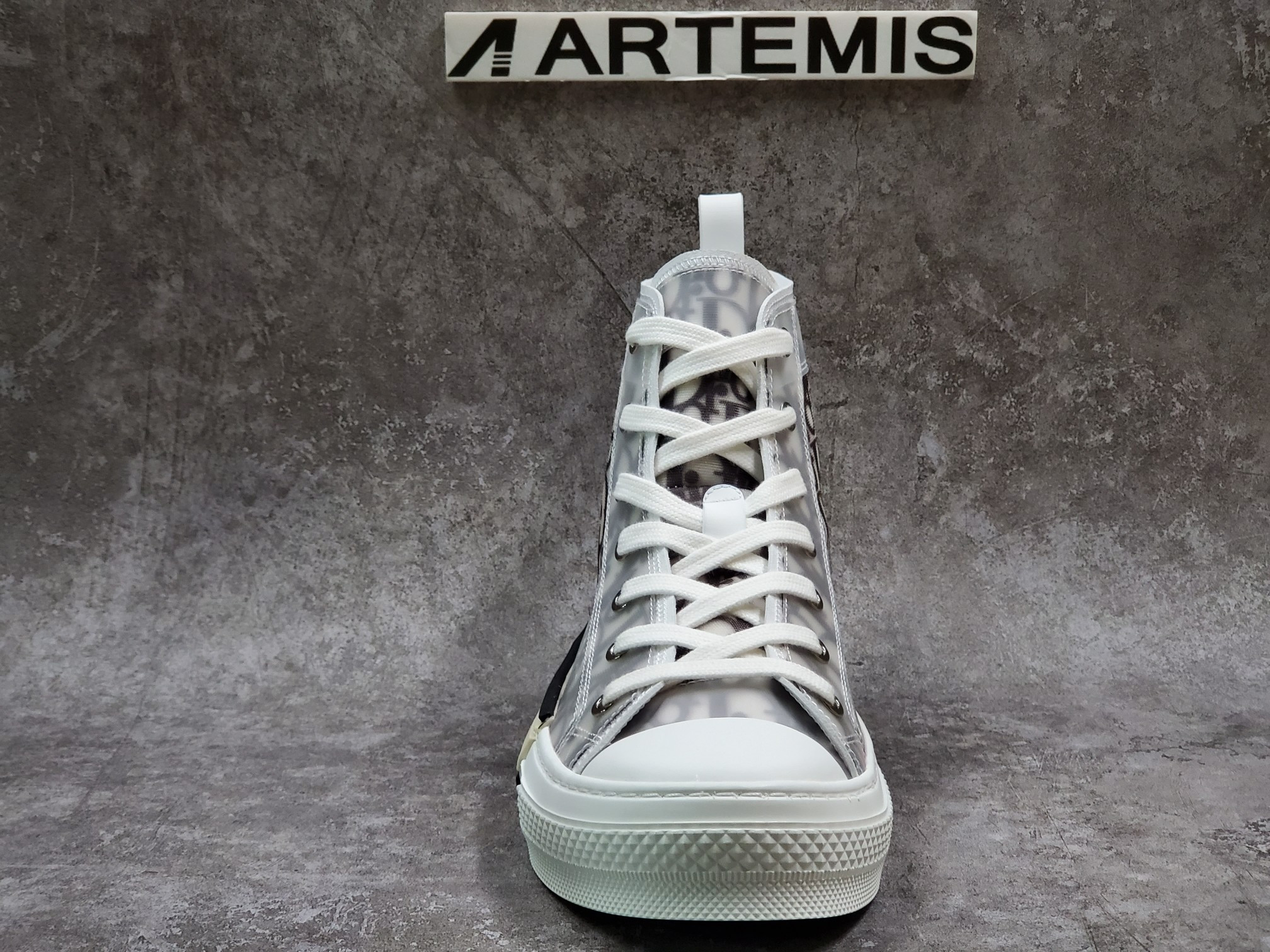 Dior B23 High Top Logo Oblique