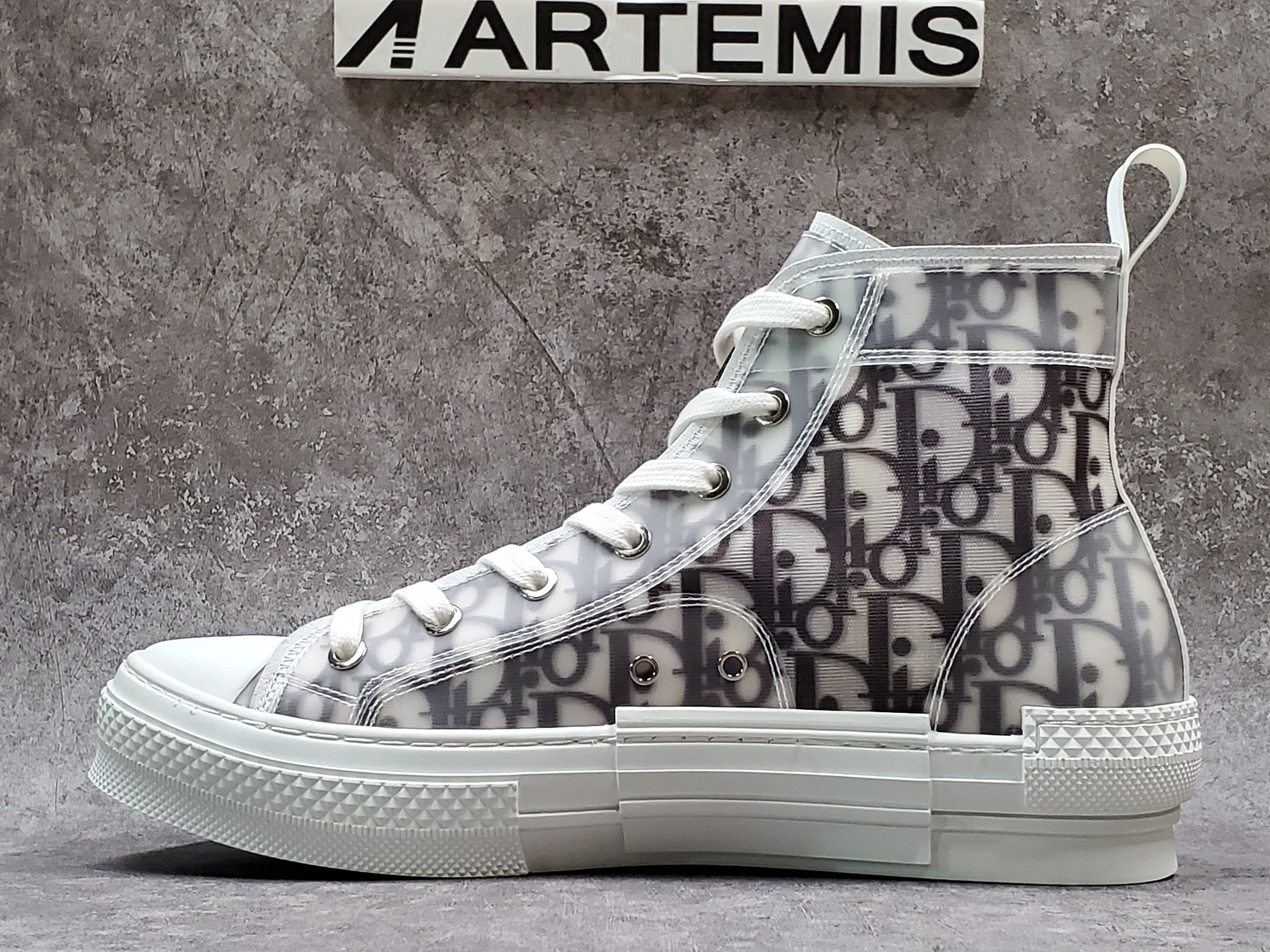 Dior B23 High Top Logo Oblique