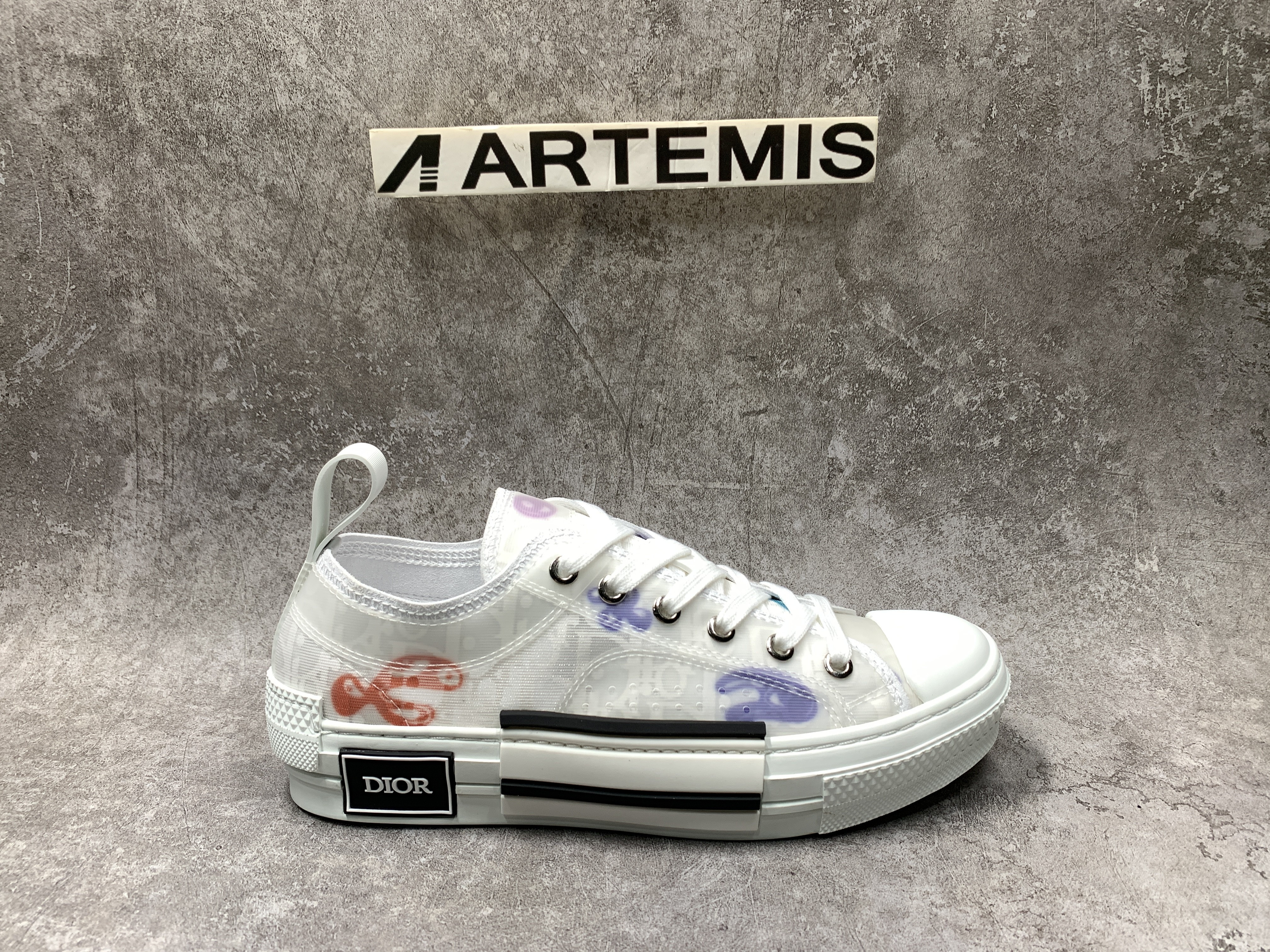 Dior B23 Low X Kenny Schare Multi