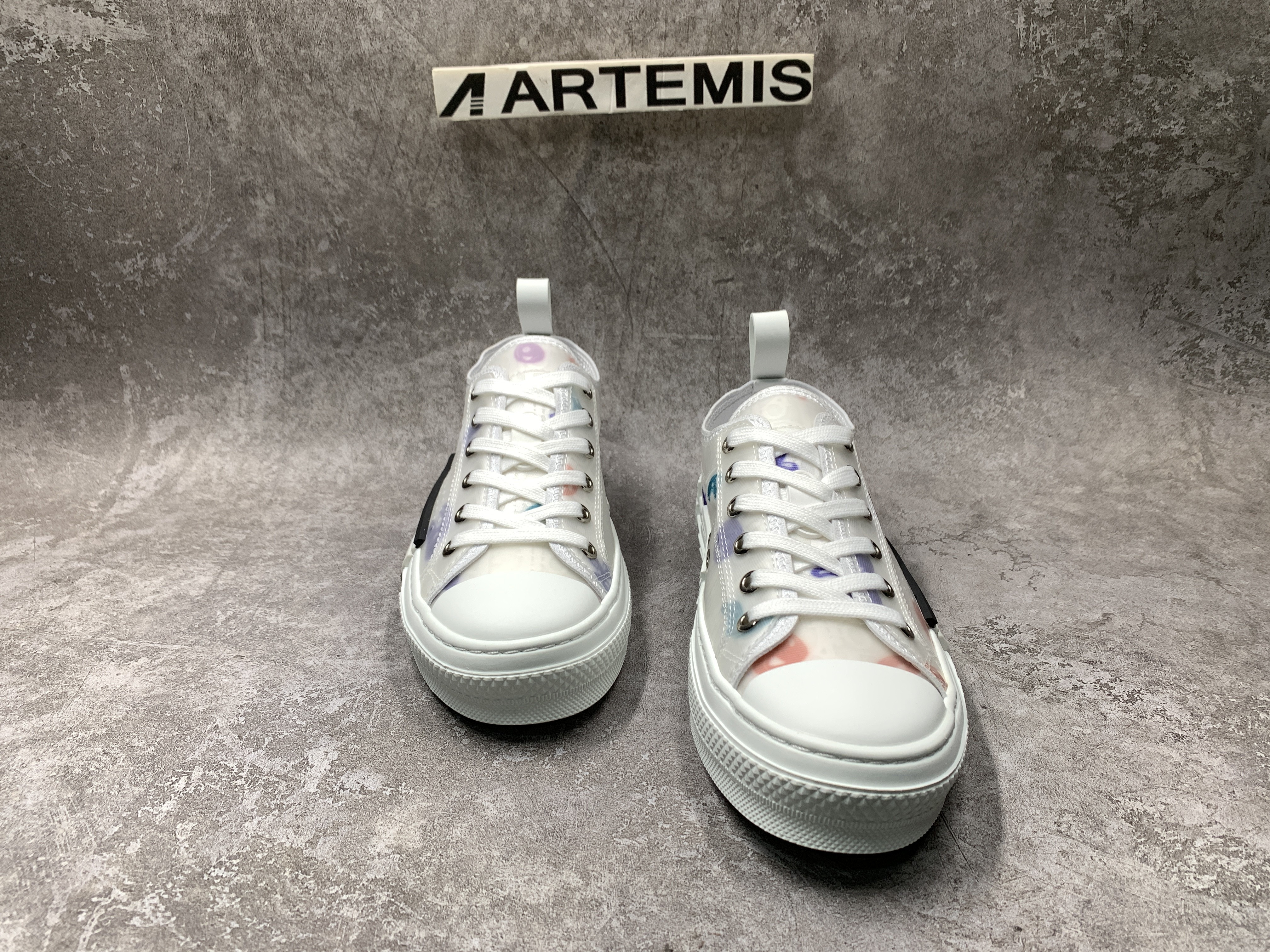 Dior B23 Low X Kenny Schare Multi