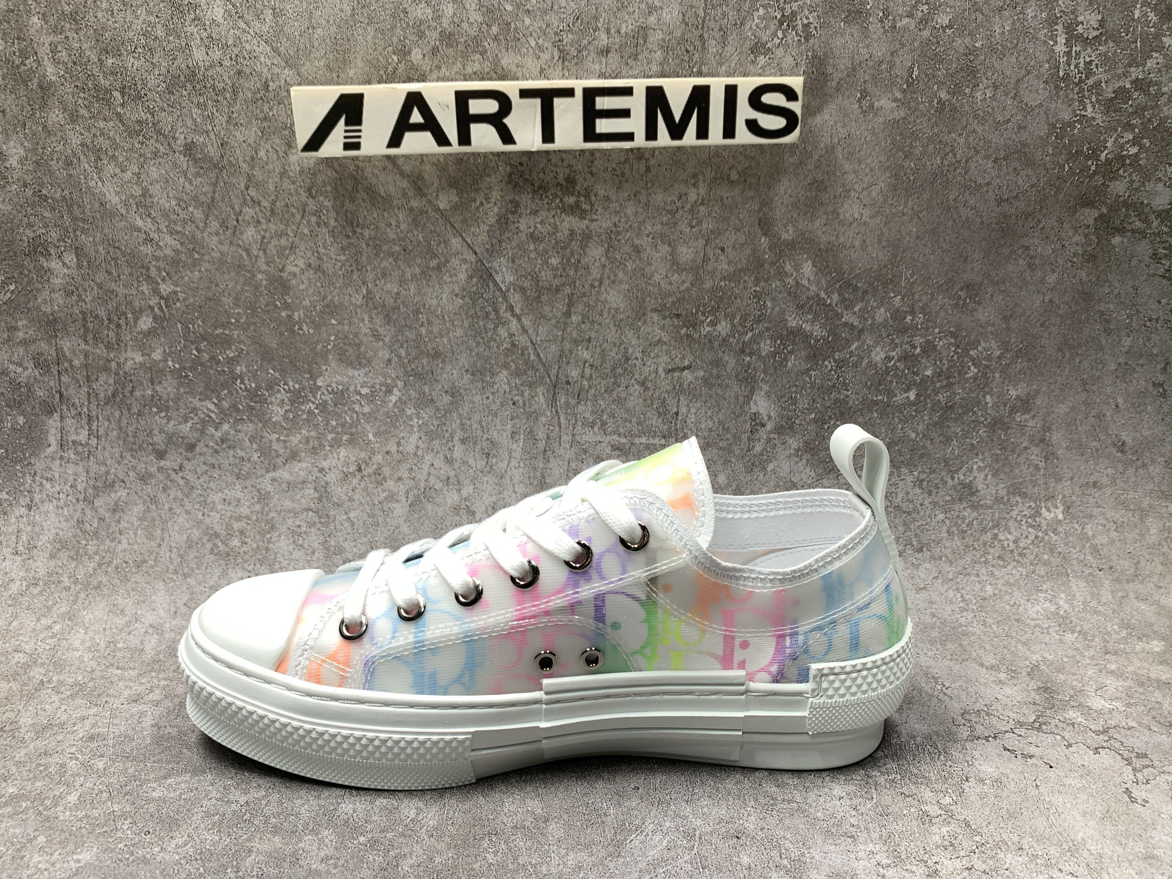 Dior B23 Low MixColor