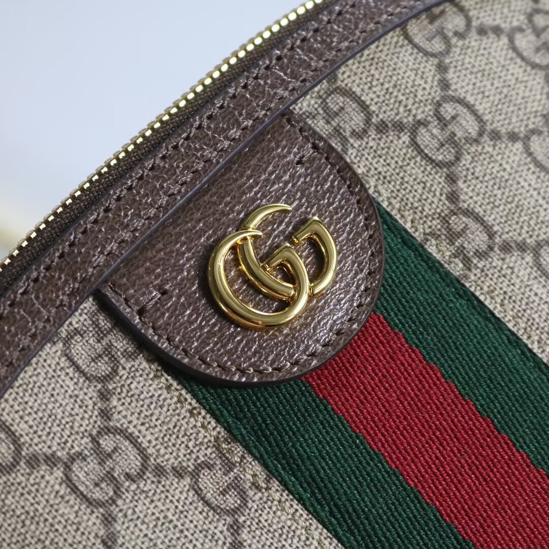 Gucci GG Ophidia bag