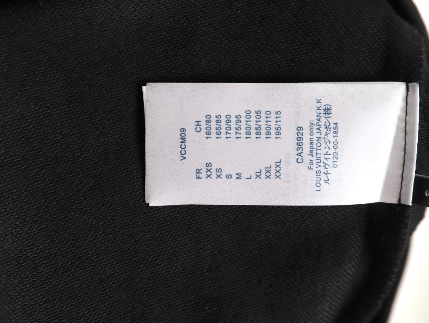 Louis Vuitton LV 25FW Hoodies