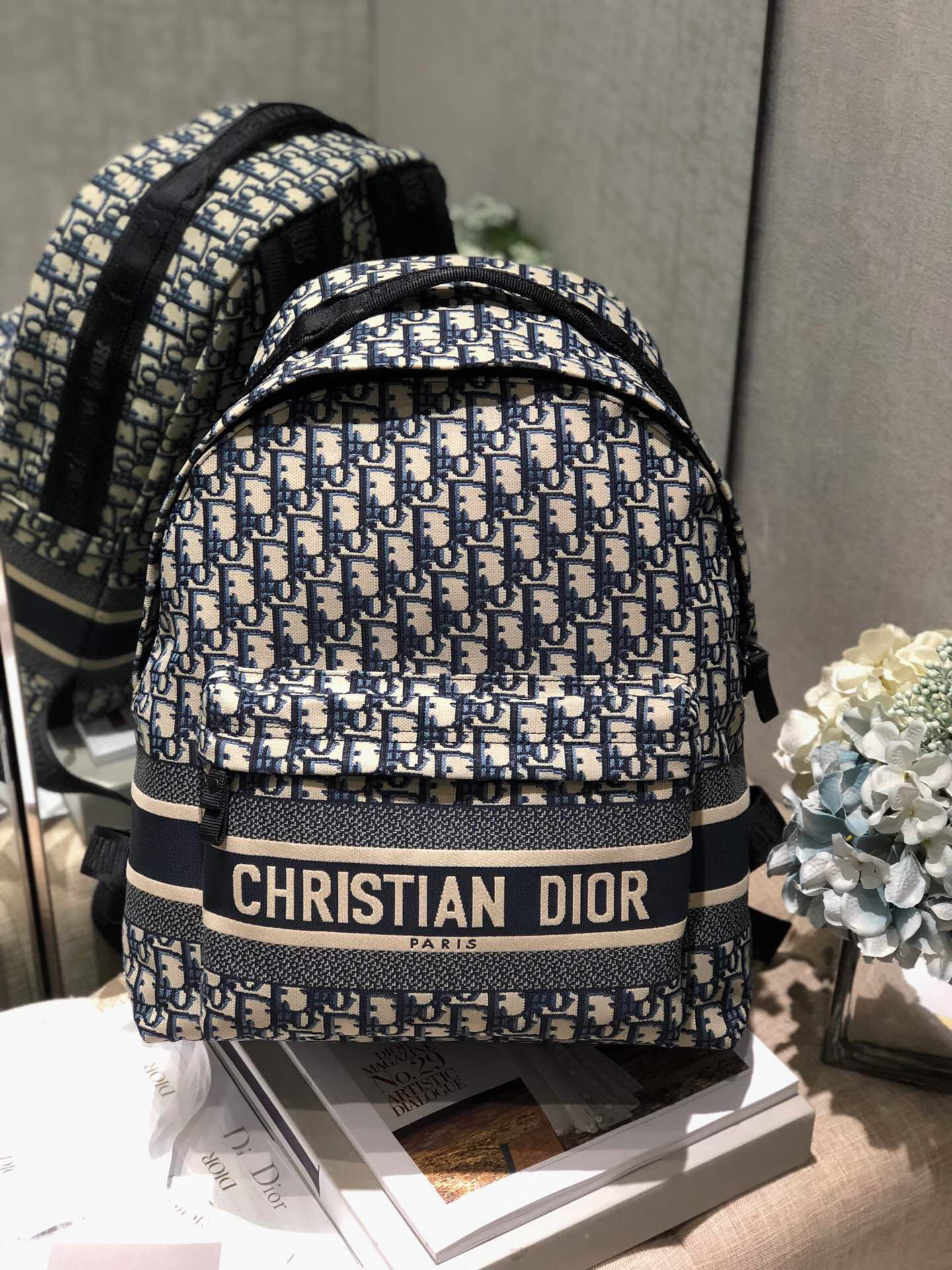 DIORTRAVEL Backpack