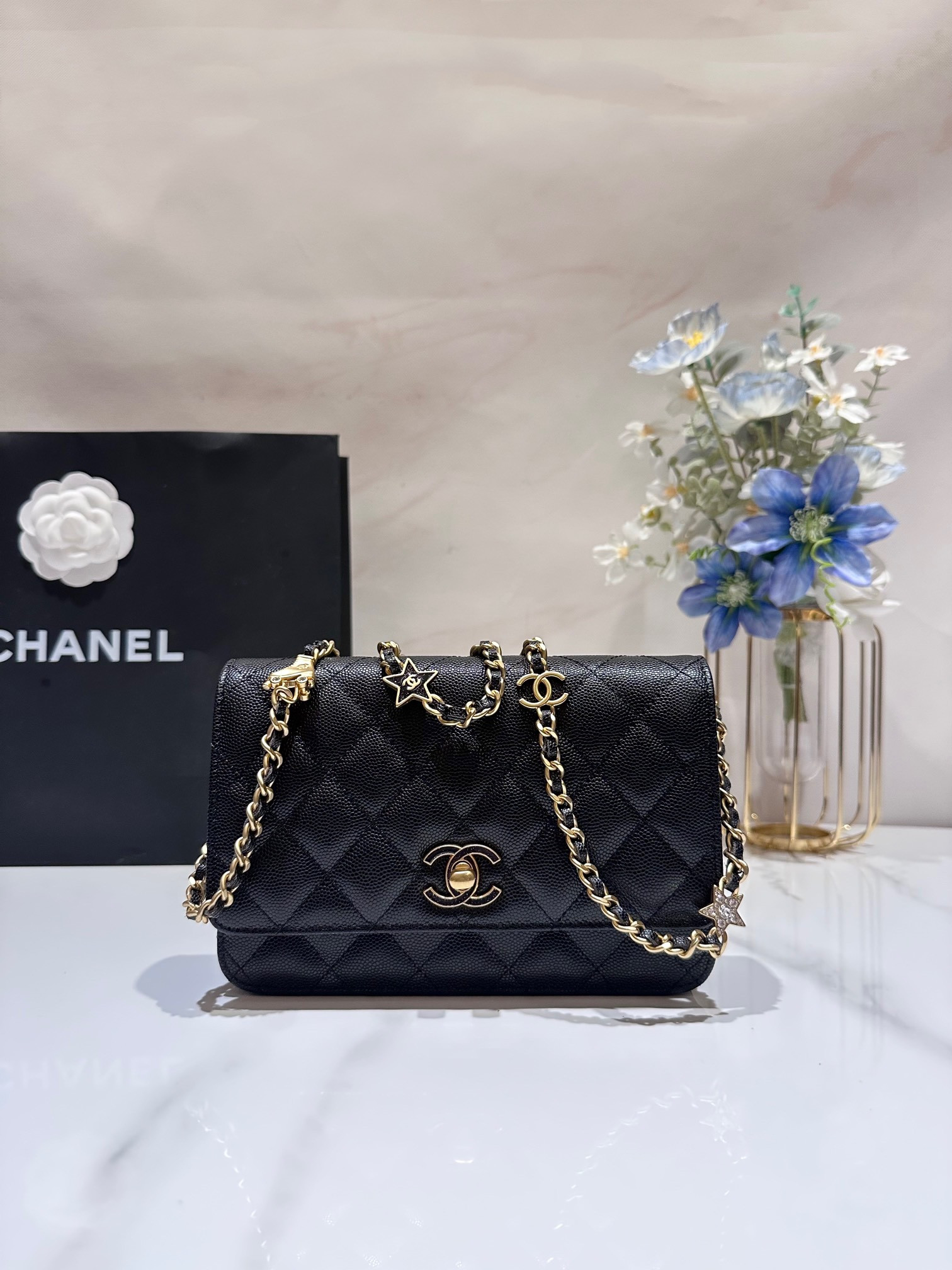 CHANEL CLASSIC WALLET ON CHAIN 4.8 × 7.5 × 1.4 in
