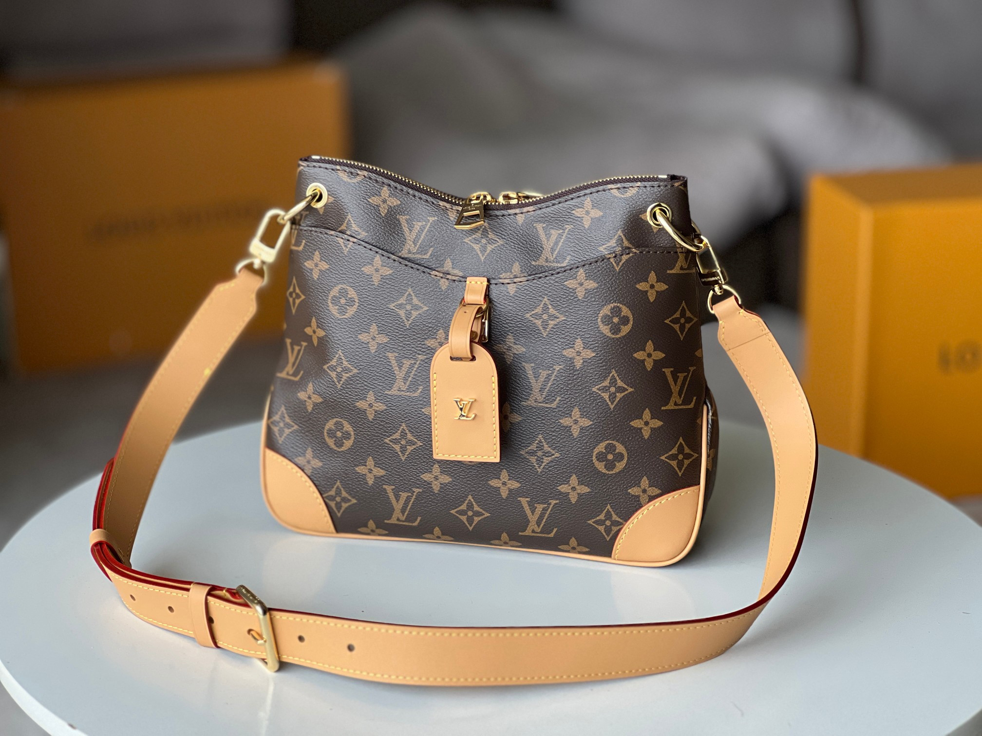 LV Odéon PM M45354 9.4x8.7x3.1 inches