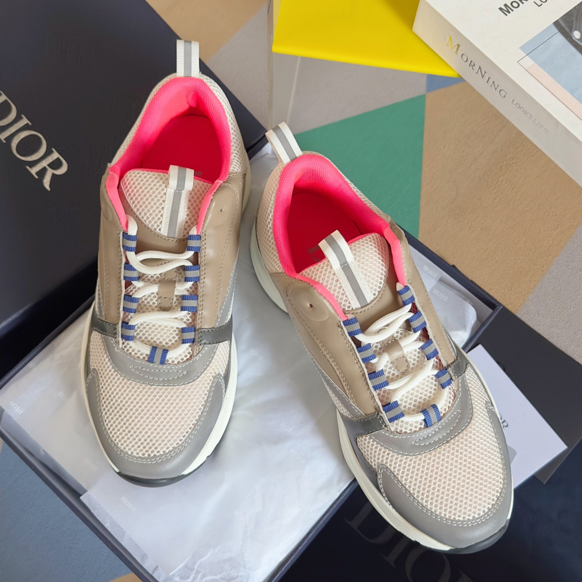 UA Dior B22  Sneaker