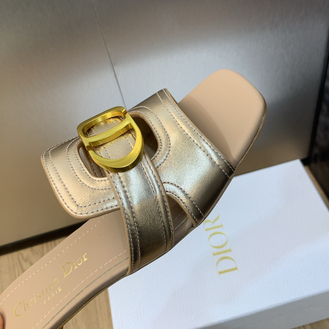 UA DIOR 30 Montaigne Slide