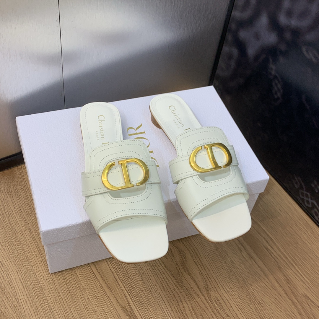 UA DIOR 30 Montaigne Slide