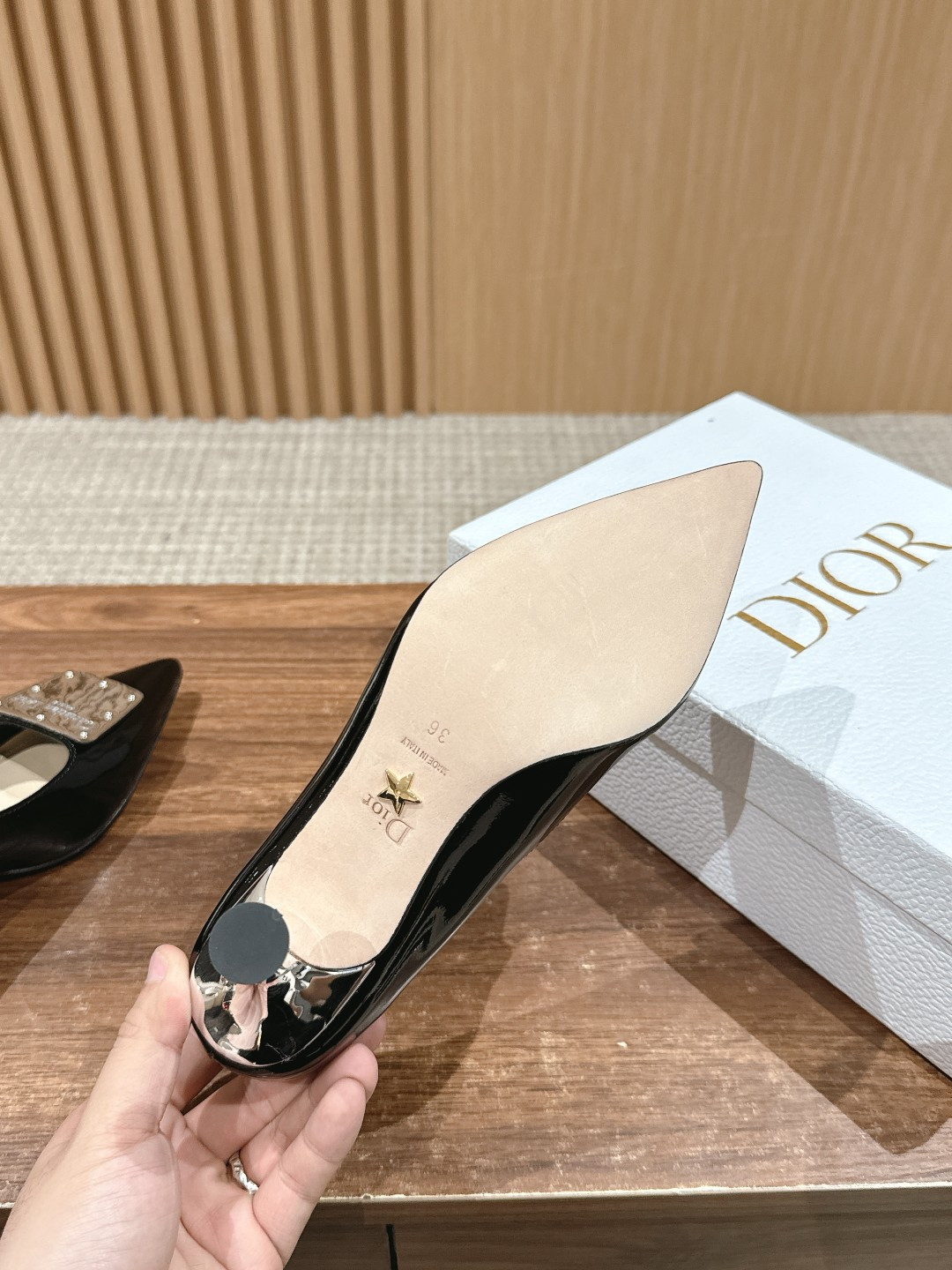 UA Christian Dior La Parusienne Pump