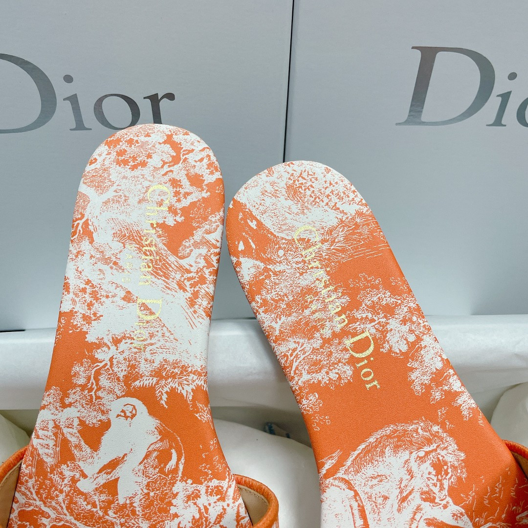 UA DIOR Dway Slide