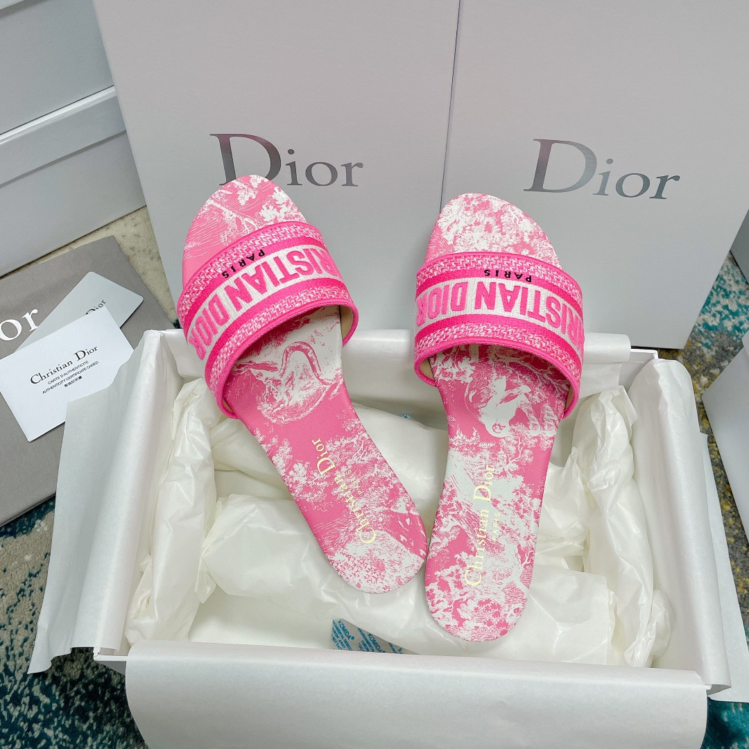 UA DIOR Dway Slide