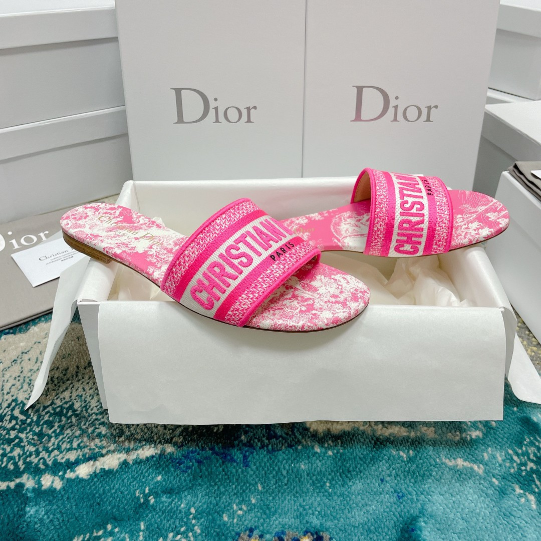 UA DIOR Dway Slide