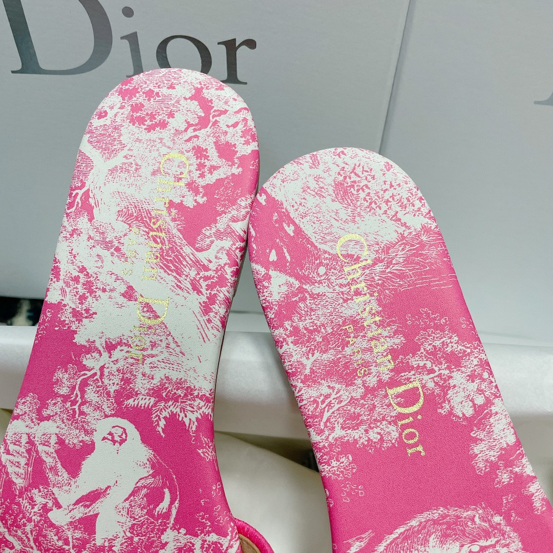 UA DIOR Dway Slide