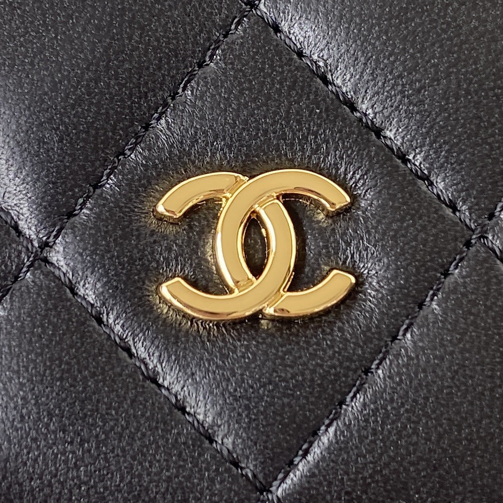 CHANEL WALLET ON CHAIN 12.3 × 19.2 × 3.5 cm
