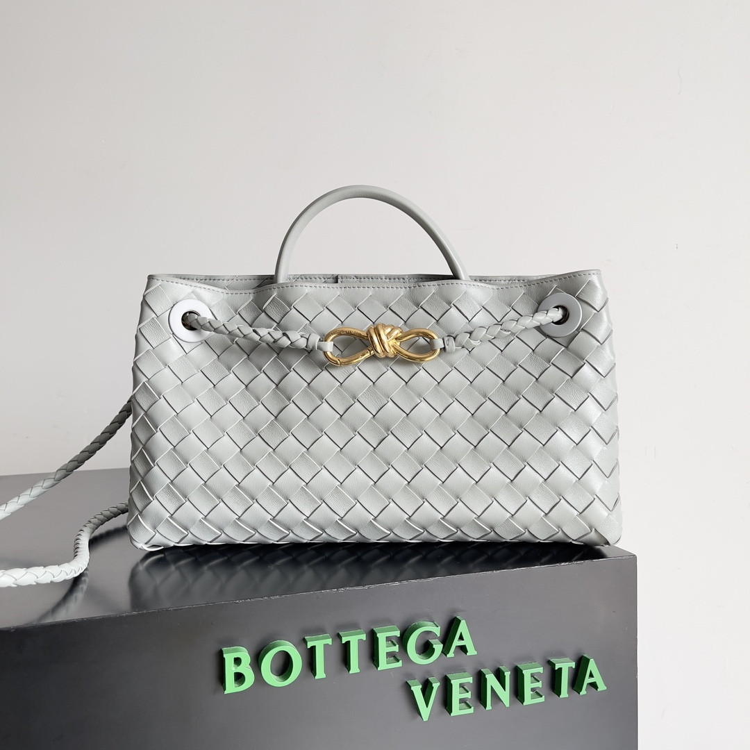 Bottega Veneta East-West Andiamo 29x10x18CM