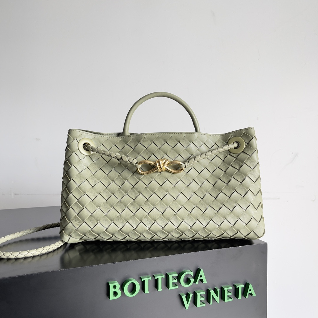 Bottega Veneta East-West Andiamo 29x10x18CM