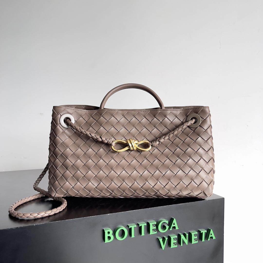 Bottega Veneta East-West Andiamo 29x10x18CM