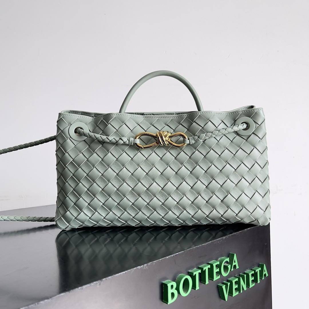 Bottega Veneta East-West Andiamo 29x10x18CM