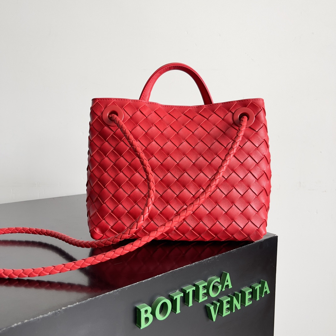 Bottega Veneta Small Andiamo 25x22x10.5cm