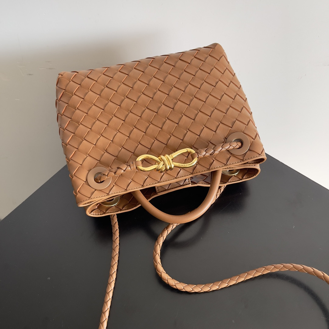 Bottega Veneta Small Andiamo 25x22x10.5cm