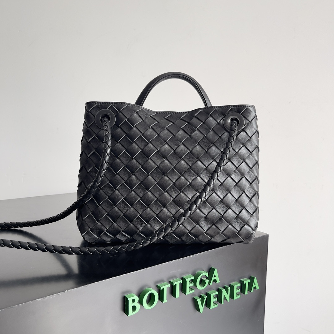 Bottega Veneta Small Andiamo 25x22x10.5cm
