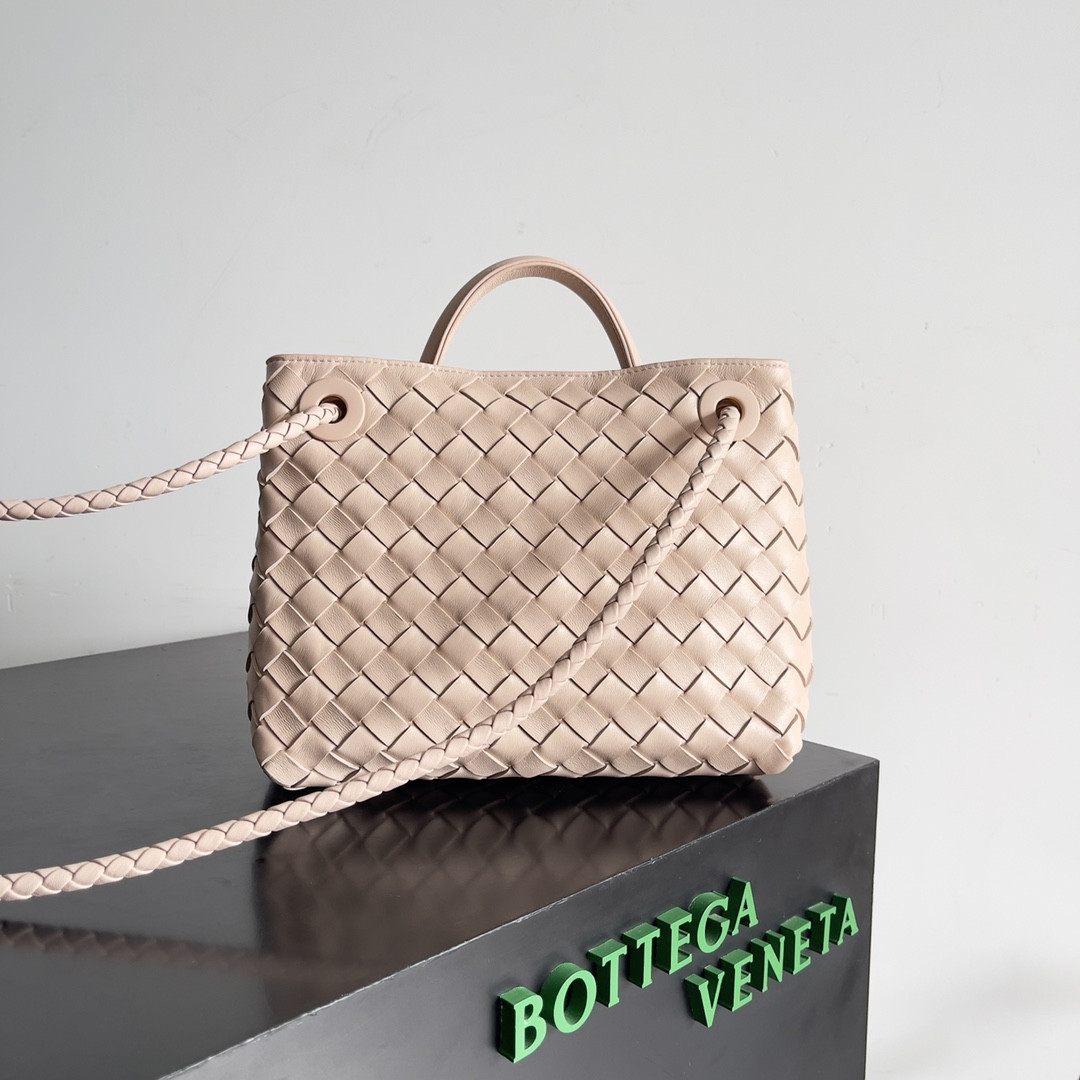 Bottega Veneta Small Andiamo 25x22x10.5cm