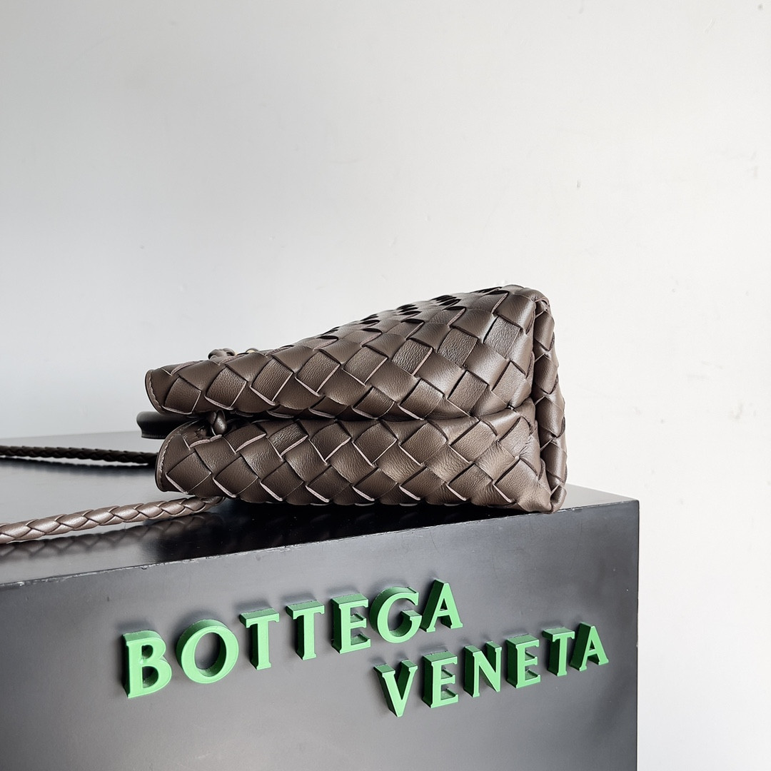 Bottega Veneta Small Andiamo 25x22x10.5cm