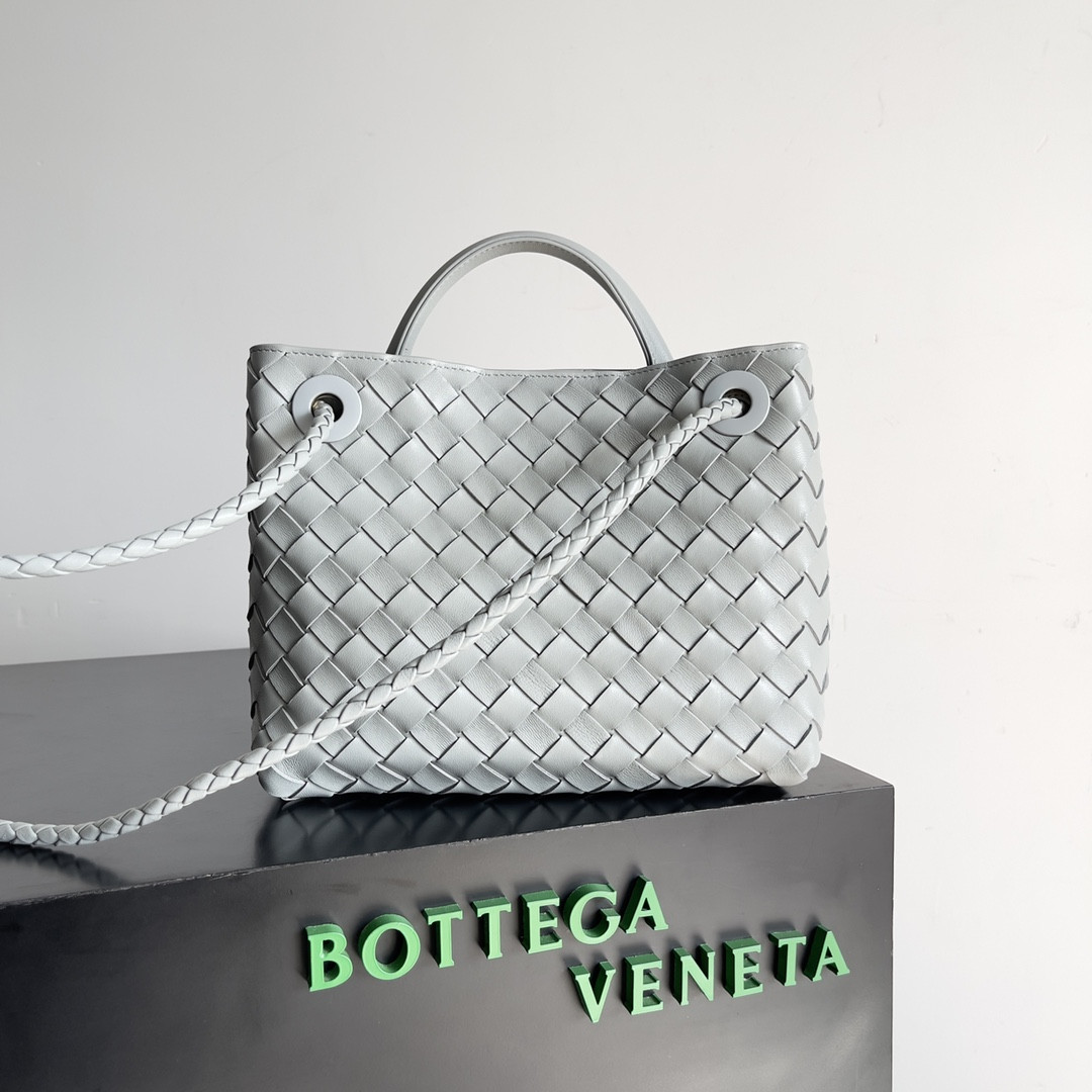 Bottega Veneta Small Andiamo 25x22x10.5cm